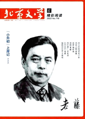 北京文学(精彩阅读)杂志